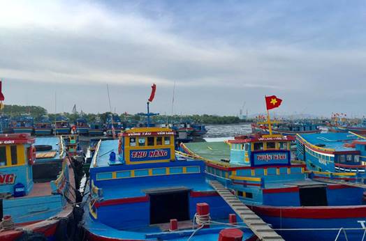 Vũng Tàu: Đẩy mạnh phát triển ngành thủy hải sản, góp phần phục hồi và phát triển kinh tế địa phương