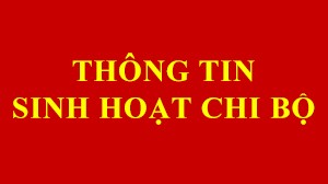 Bản tin sinh hoạt chi bộ