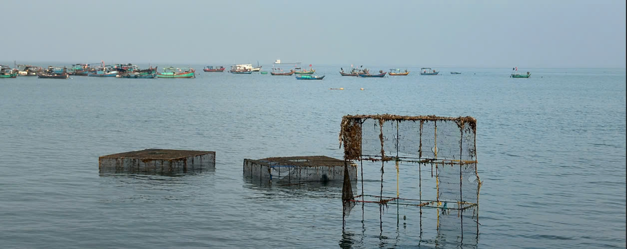 Vũng Tàu thông báo thực hiện việc cưỡng chế, giải tỏa lồng bè nuôi thủy hải sản trái phép tại khu vực Bãi Trước.