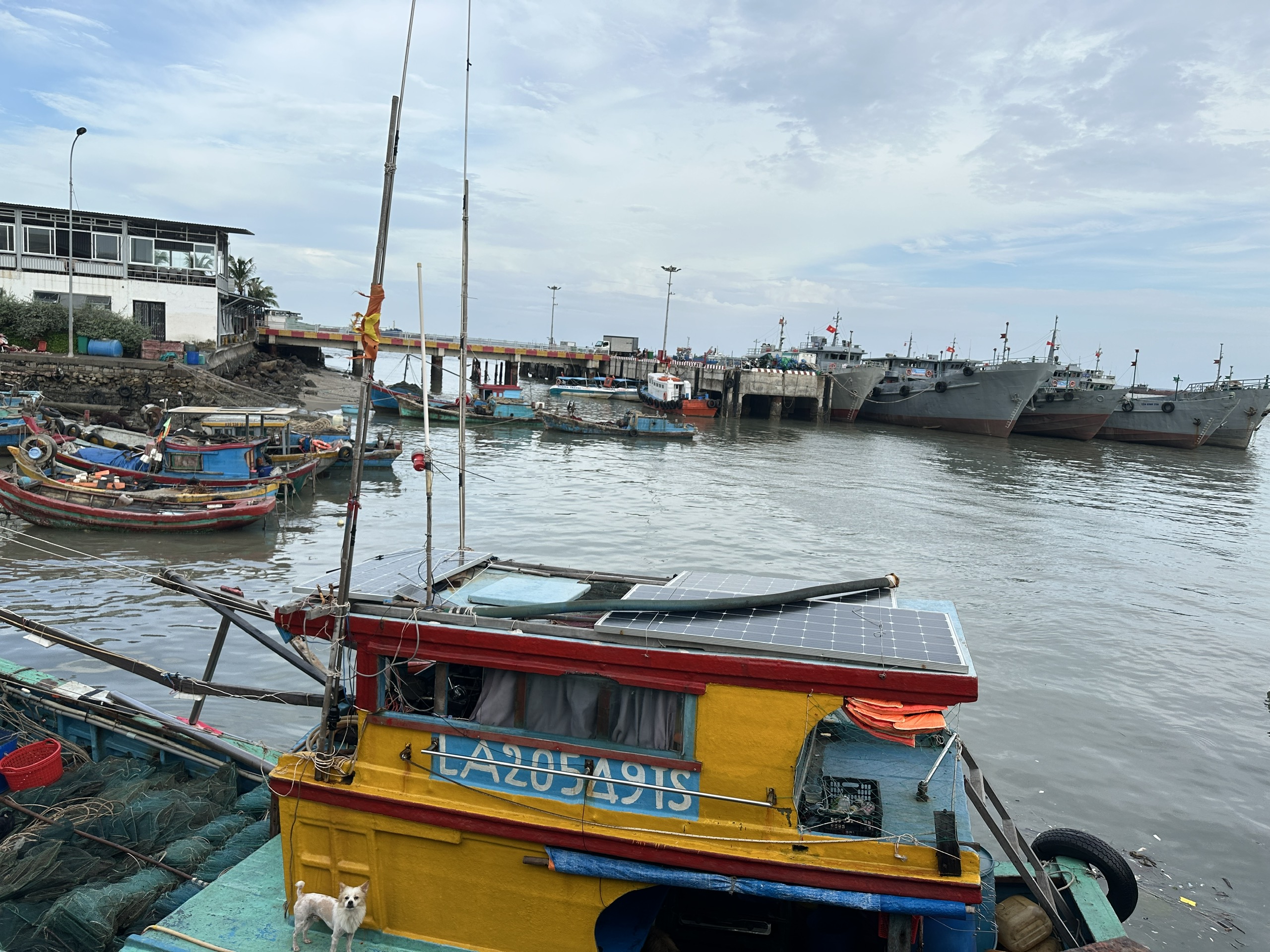 Chung tay phòng chống IUU, Vũng Tàu đẩy mạnh công tác tuyên truyền