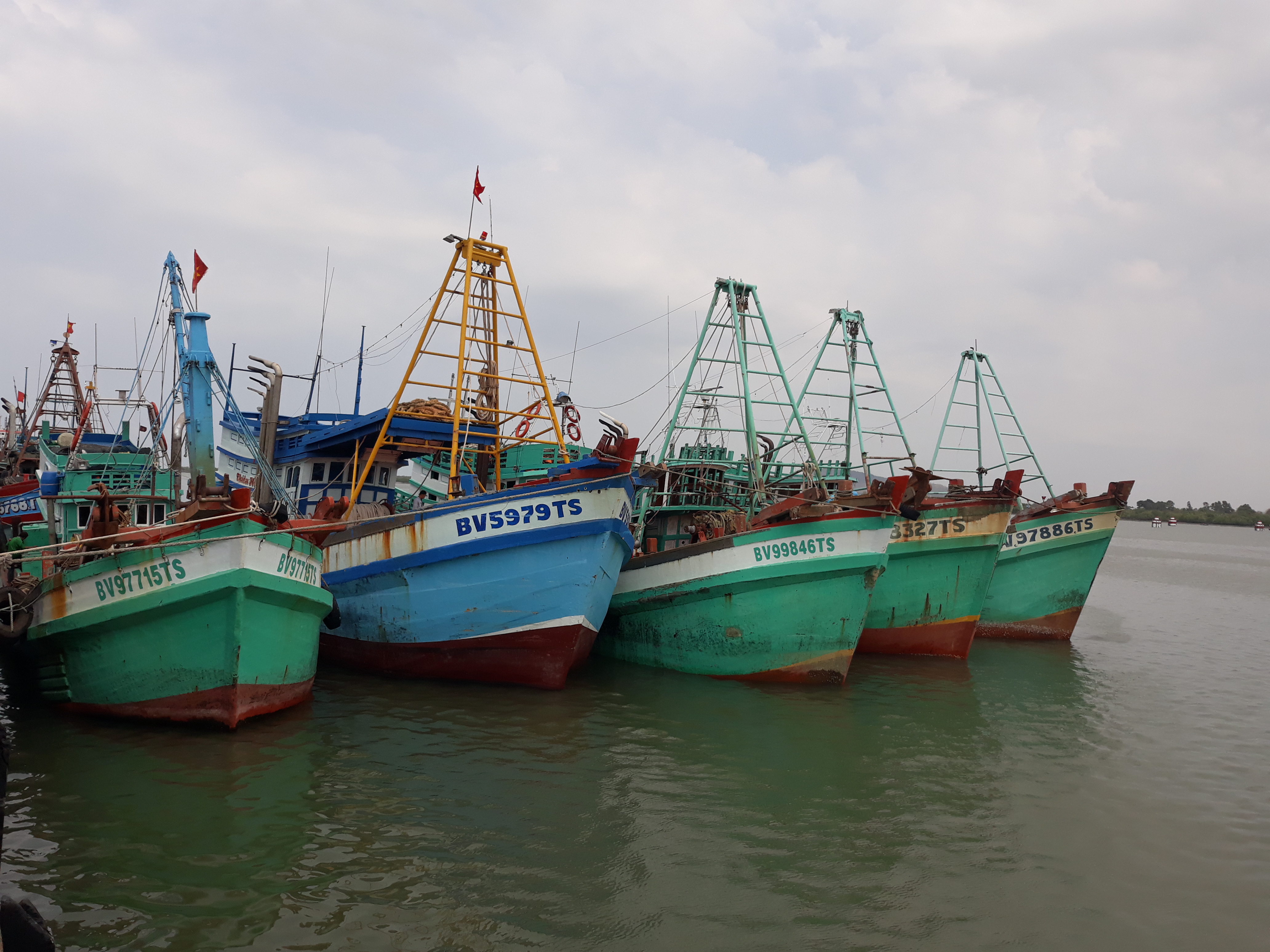 Vũng Tàu: Hành trình hướng đến ngành thủy sản bền vững giữa biển khơi