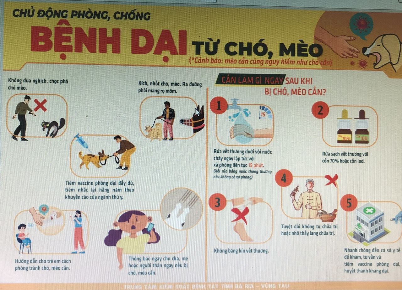 Vũng Tàu: Tăng cường công tác phòng, chống dịch bệnh mùa hè