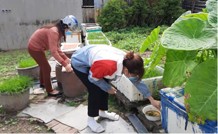 Chung tay phòng, chống dịch sốt xuất huyết mùa mưa năm 2025