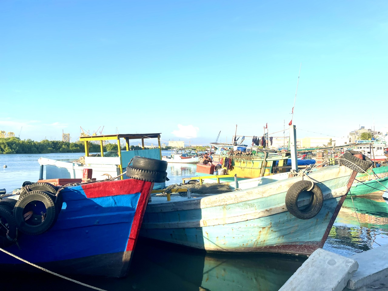 Vũng Tàu: Tiếp tục đưa ngành thuỷ sản phát triển xứng với tiềm năng