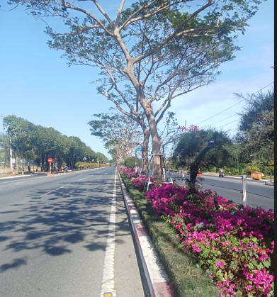 Chỉnh trang đô thị Vũng Tàu: Diện mạo ngày càng khang trang
