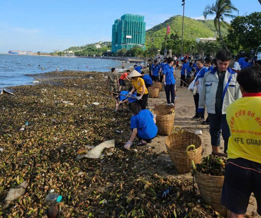 Hàng trăm tấn rác đại dương tấn công Vũng Tàu – Thành phố quyết liệt ra quân làm sạch biển